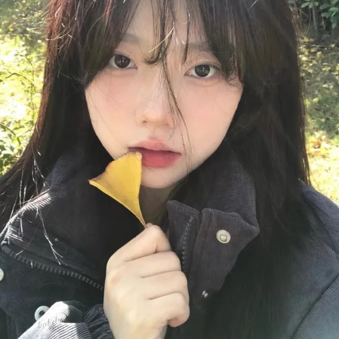复仇吧 在线观看
